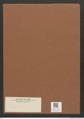 Diatomeae indet. Zeichnungen Sammlung Grunow Mappe 02392 (Herbarium_W_Grunow_drawings_Folder_02392)